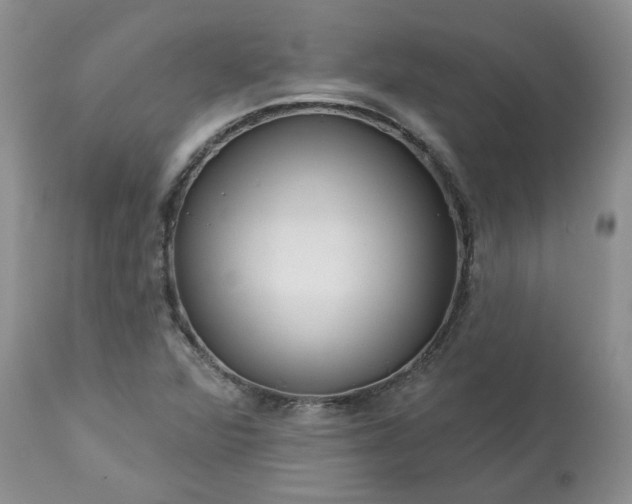 X0000113611360200910021755