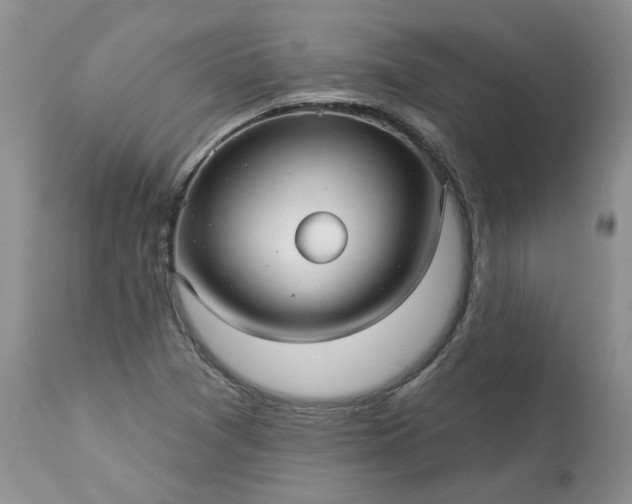 X0000113611361200910021755