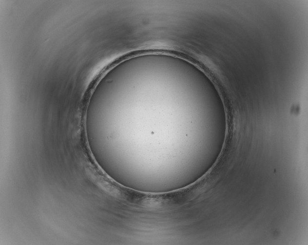 X0000113611364200910021755