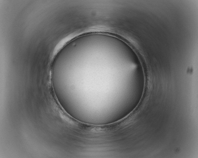 X0000113611366200910021755