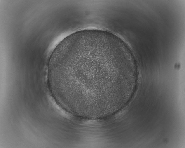 X0000113611367200910021755