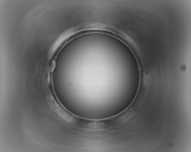 X0000113611368200910021755