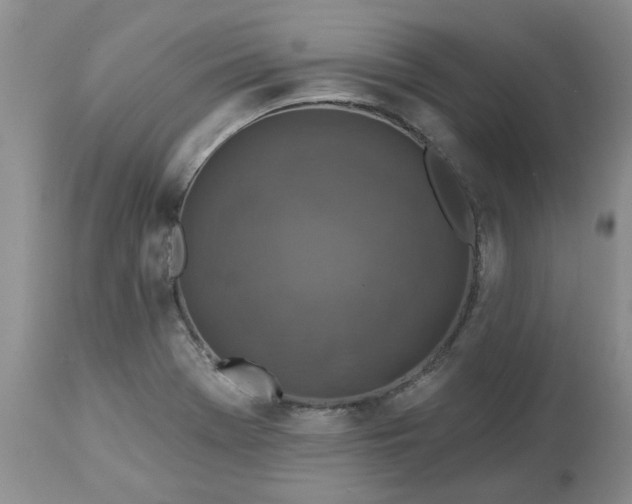 X0000113611369200910021755