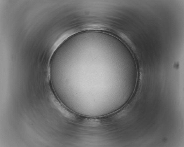 X0000113611370200910021755