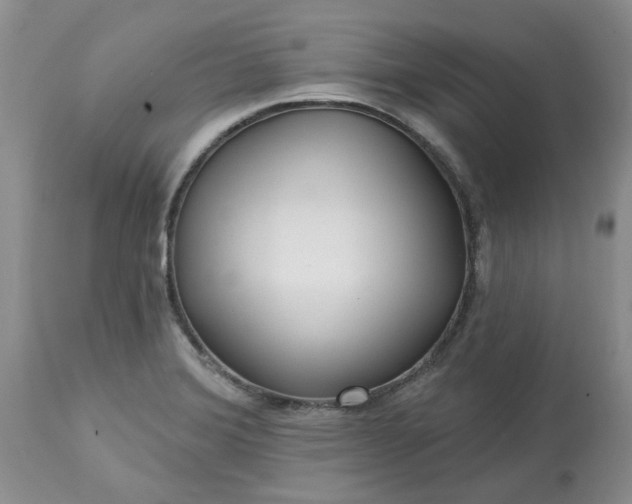 X0000113611372200910021754