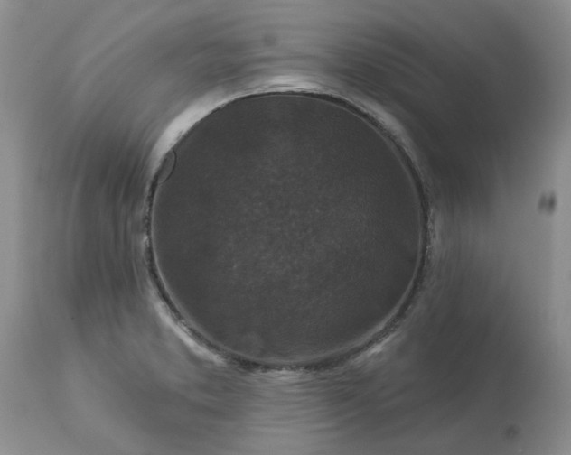 X0000113611373200910021754