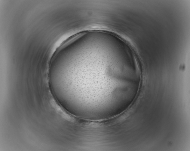 X0000113611374200910021754