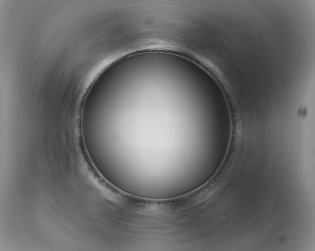 X0000113611375200910021754