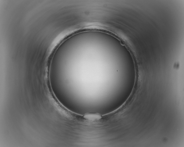 X0000113611376200910021754