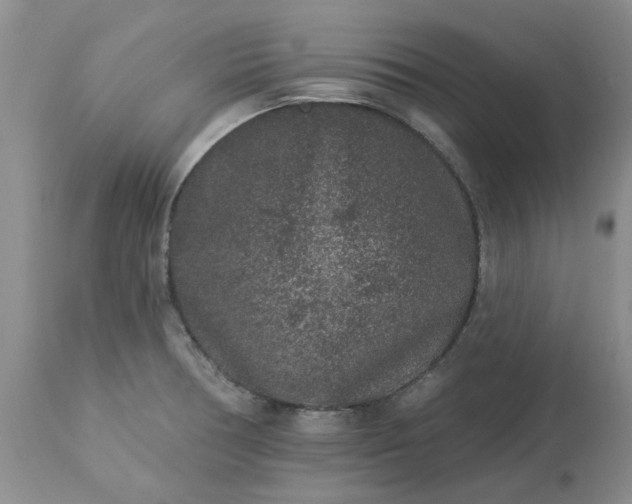 X0000113611378200910021754