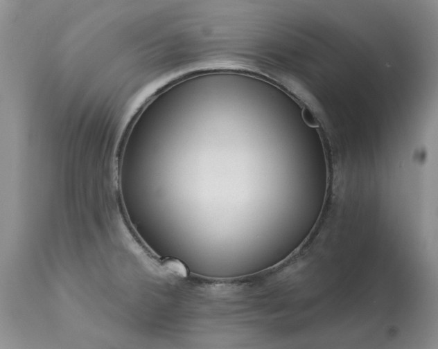 X0000113611380200910021754