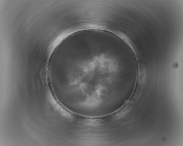 X0000113611381200910021754