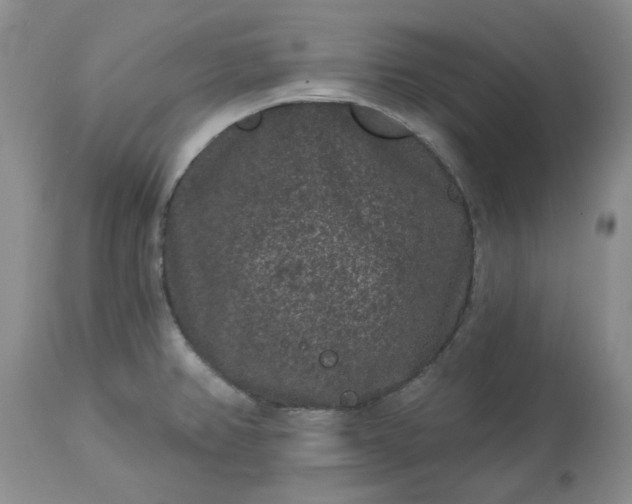 X0000113611382200910021754