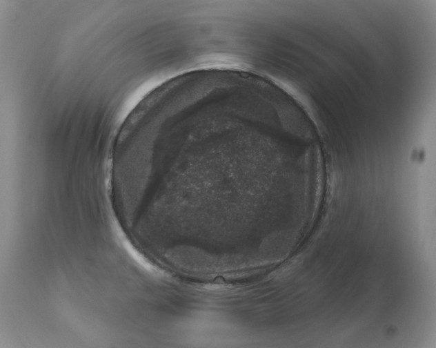 X0000113611383200910021754