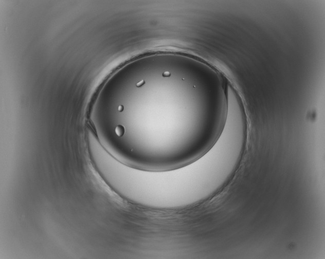 X0000113611384200910021754