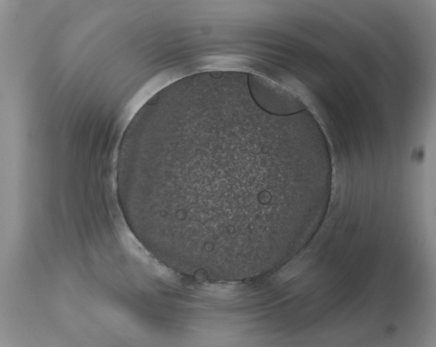 X0000113611386200910021754