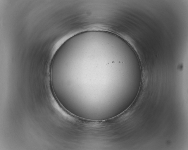 X0000113611387200910021754