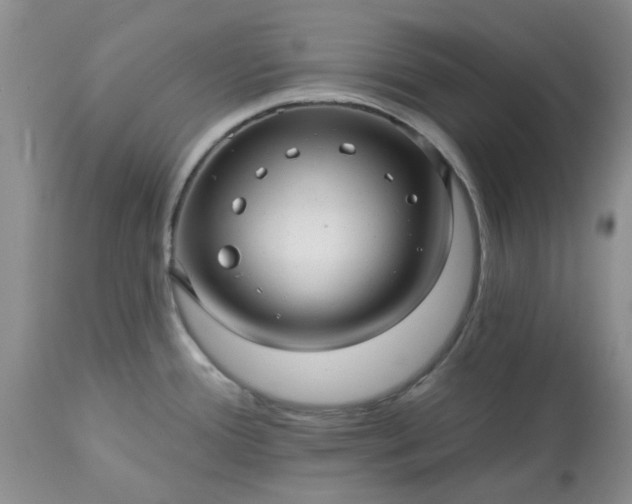 X0000113611388200910021754