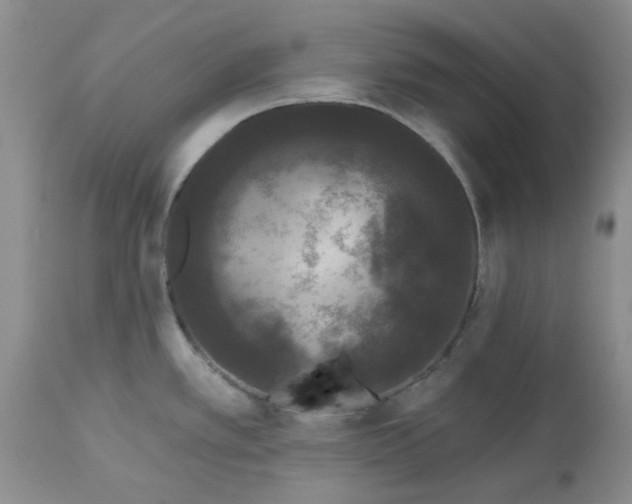 X0000113611389200910021754