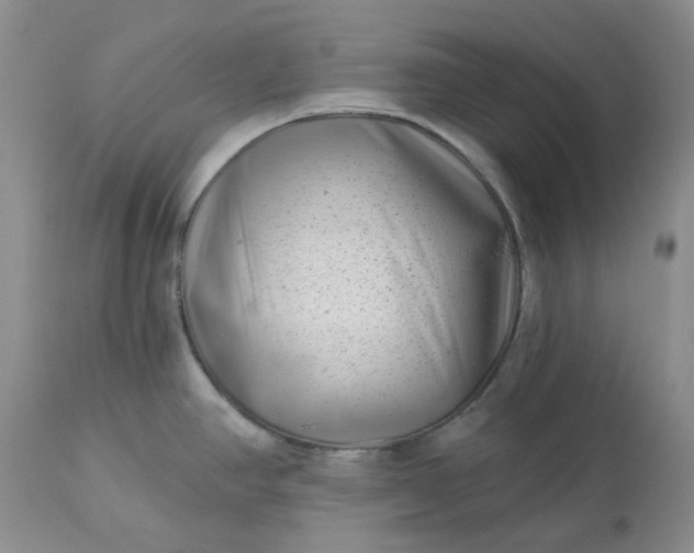 X0000113611390200910021754