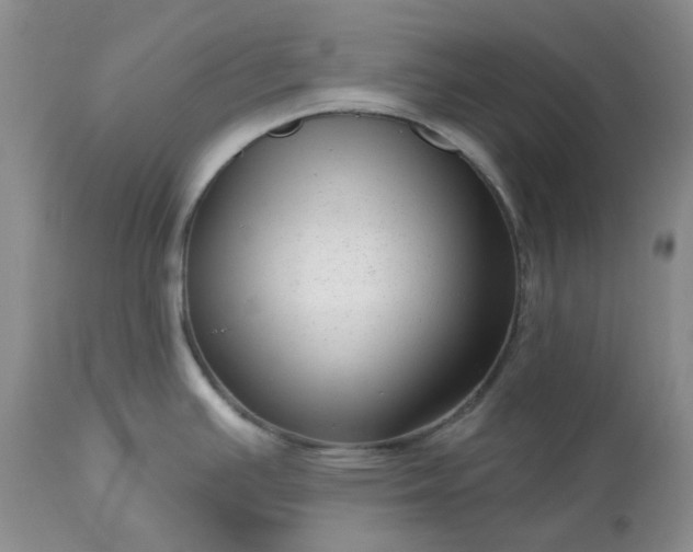 X0000113611391200910021754