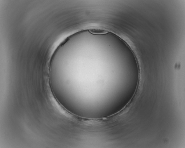 X0000113611392200910021754