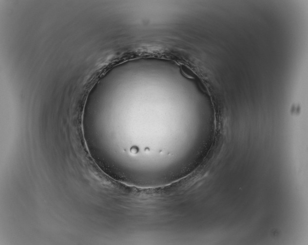 X0000113611393200910021753