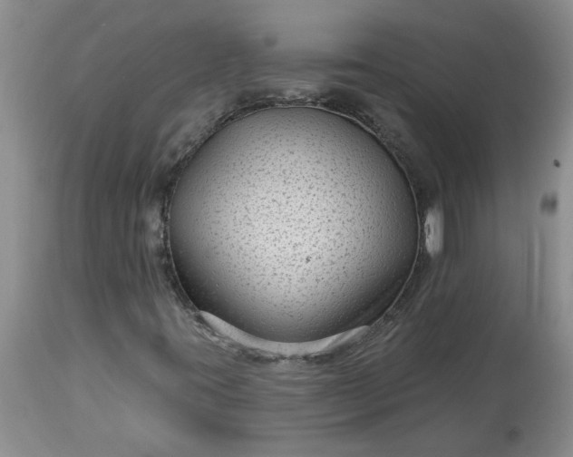 X0000113611395200910021753