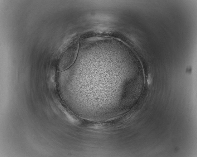 X0000113611396200910021753