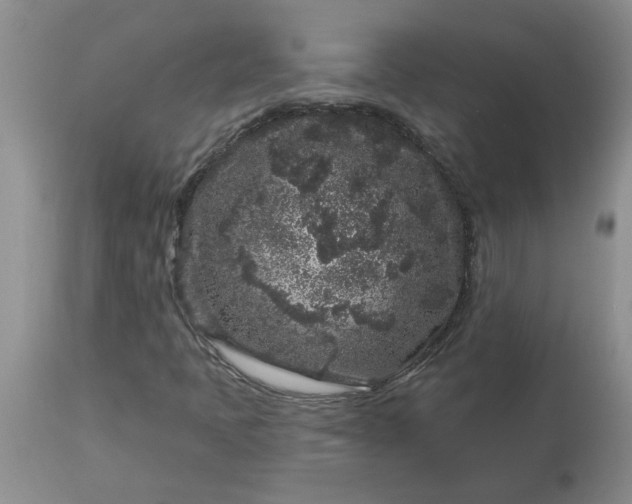 X0000113611397200910021753