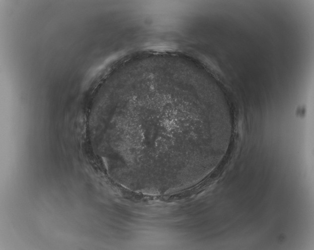 X0000113611398200910021753