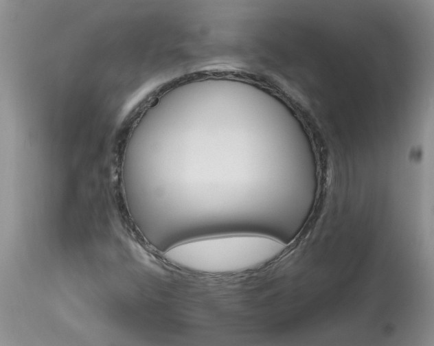 X0000113611400200910021753