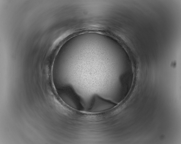 X0000113611402200910021753