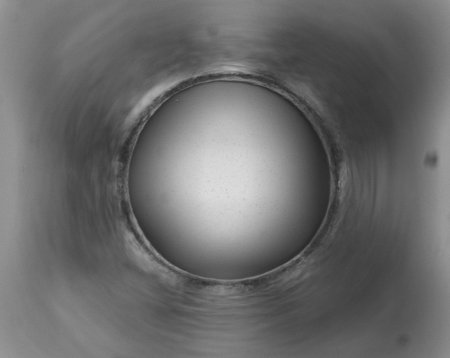 X0000113611404200910021753