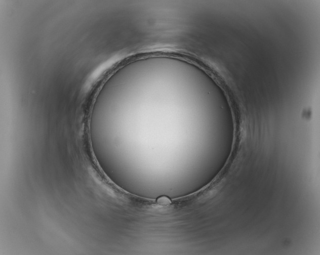 X0000113611406200910021753