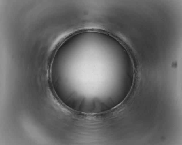 X0000113611408200910021754