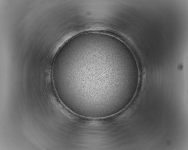 X0000113611409200910021754