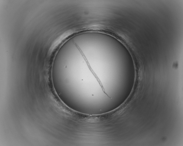 X0000113611410200910021754