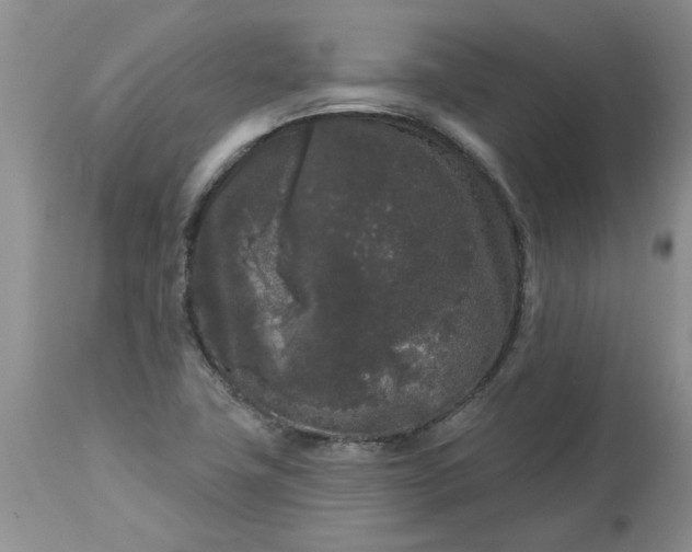 X0000113611411200910021754