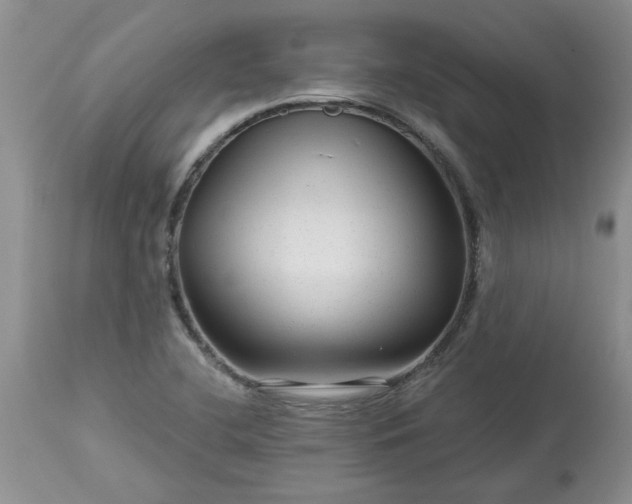 X0000113611412200910021754