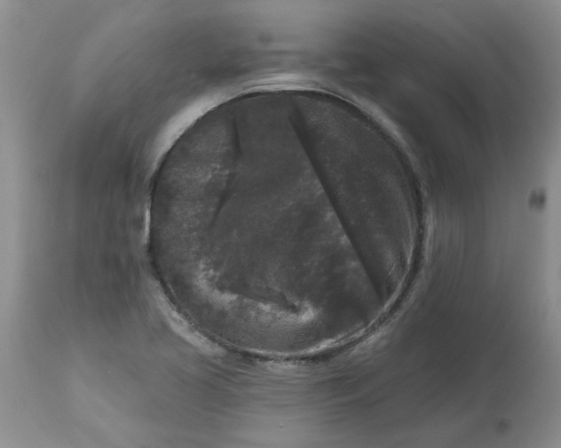 X0000113611413200910021754