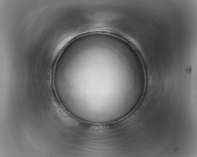 X0000113611415200910021754