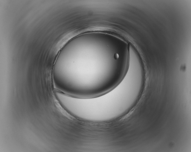 X0000113611417200910021754