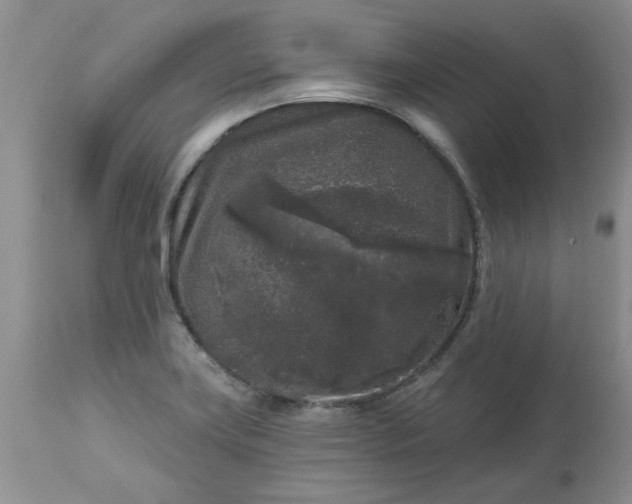 X0000113611419200910021754