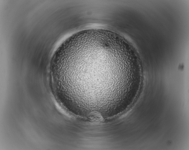 X0000113611421200910021754