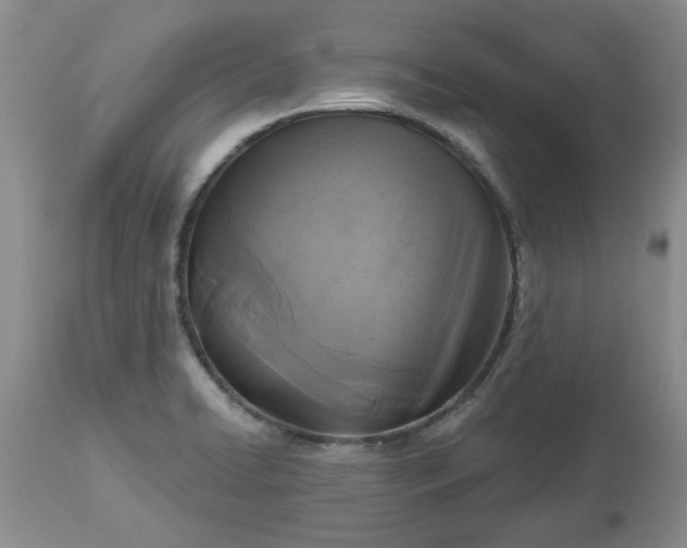 X0000113611422200910021754