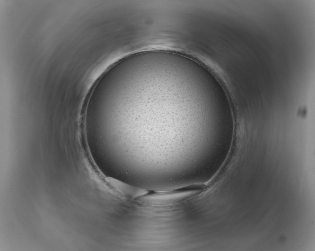 X0000113611423200910021754