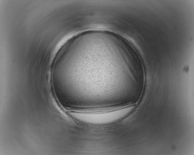 X0000113611424200910021754