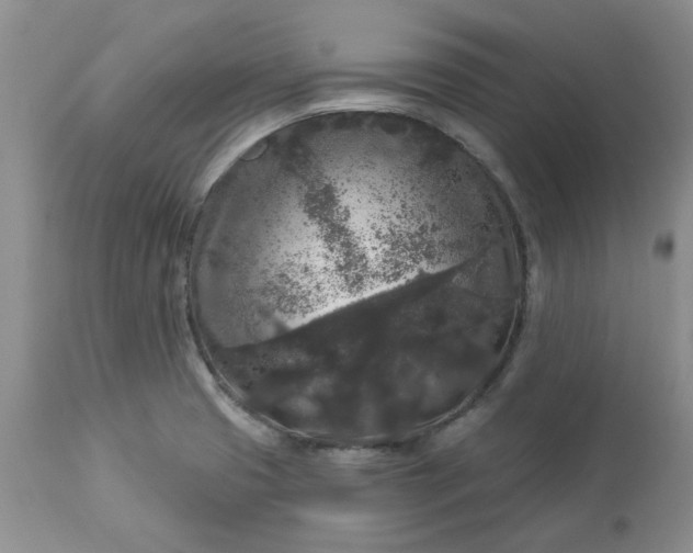 X0000113611425200910021754