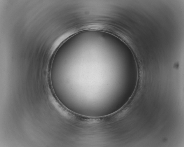 X0000113611426200910021754